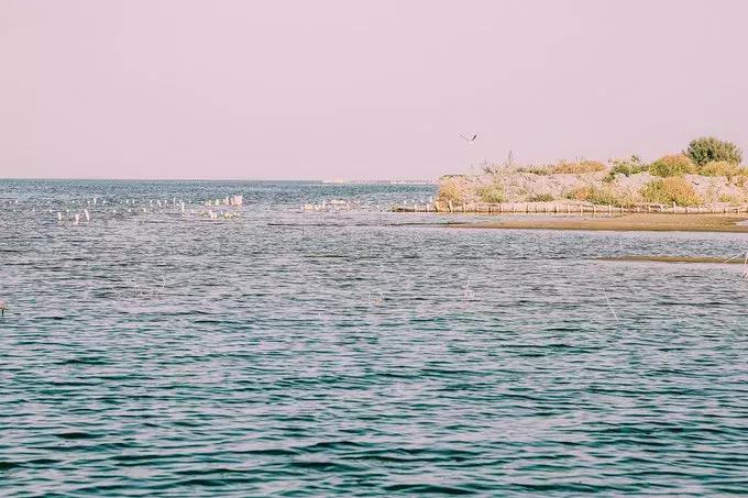 我们来自五湖四海原唱,我们来自于五湖四海全文