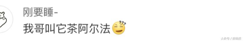 那些因为口误闹出的笑话运动员,你们班有哪些因为口误导致的笑话