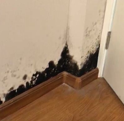 装修材料品牌大全一览表,装修公认十大最好进口水管品牌