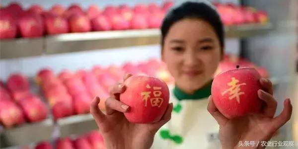 直播卖农产品最实用的5个技巧,直播农产品选品的方法和技巧