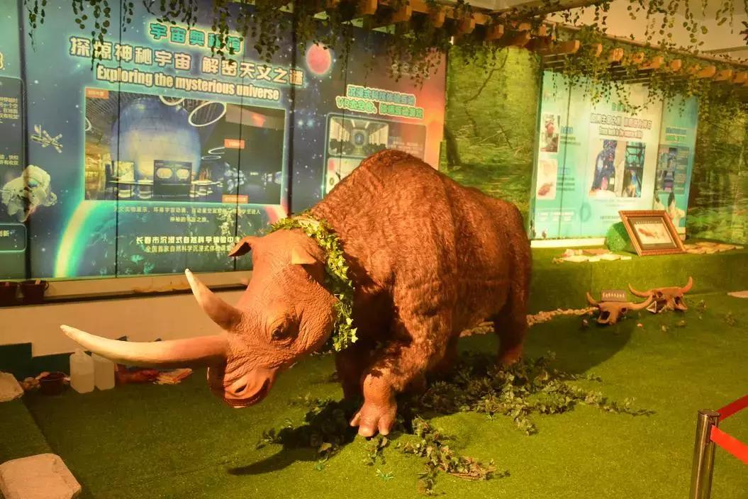 十一高今年高考咋样,十一高上学