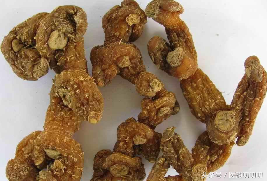 脾胃虚弱可以吃黄精,黄精治疗肺虚咳嗽