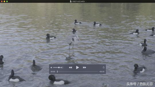 专业市场的野望，FujifilmX-H1横滨使用手记