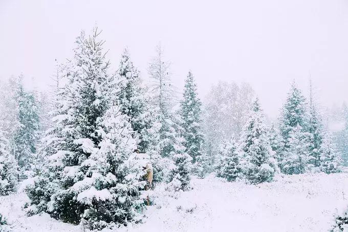 我们来自五湖四海原唱,我们来自于五湖四海全文