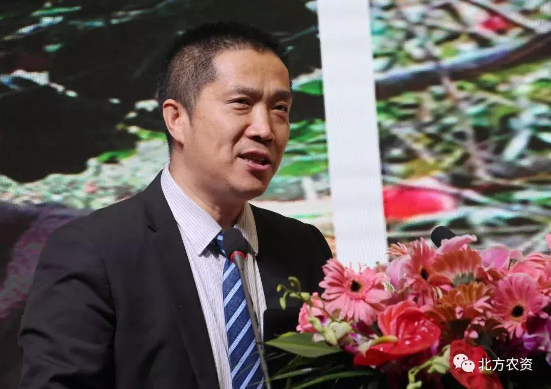 农业狂欢节,春耕首日成交突破