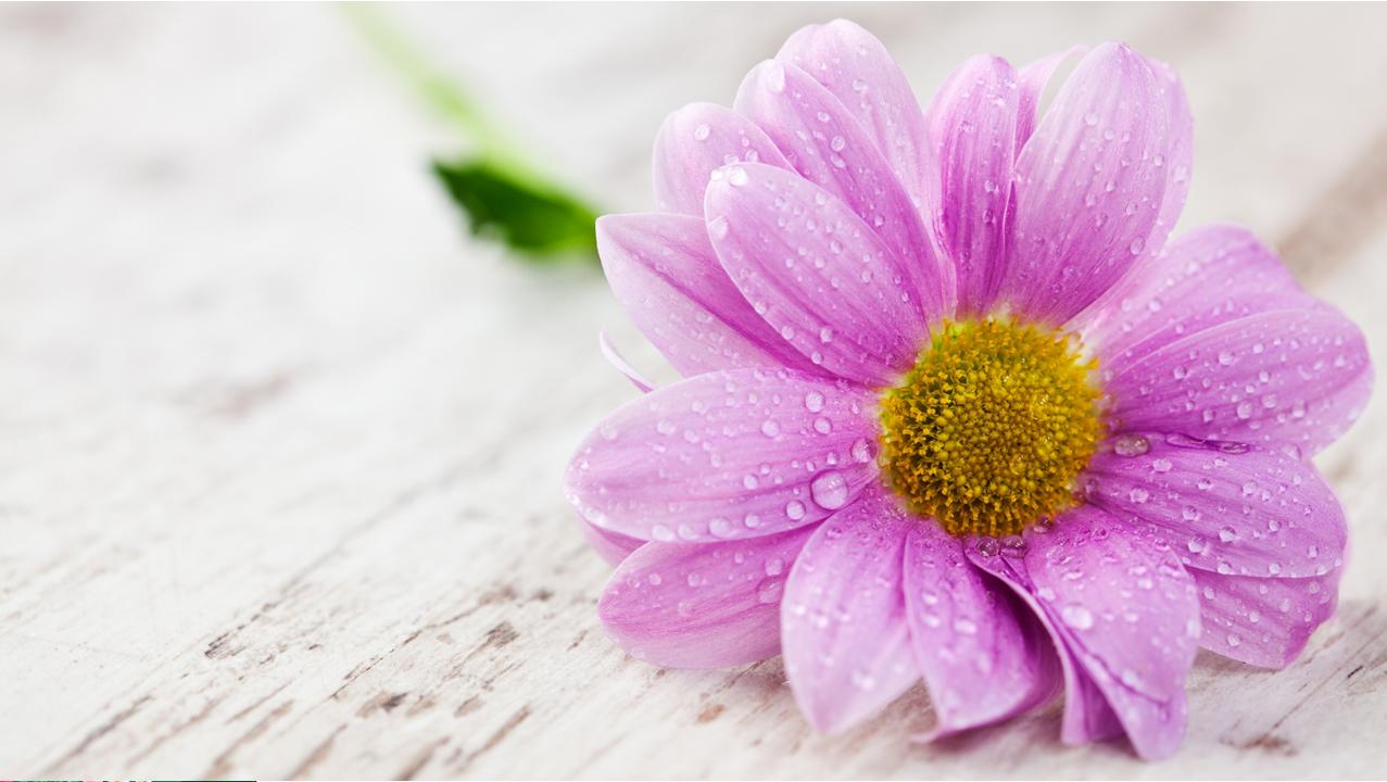 三年级孩子作业多家长可以帮助吗,小学三年级学生作业家长应该管吗