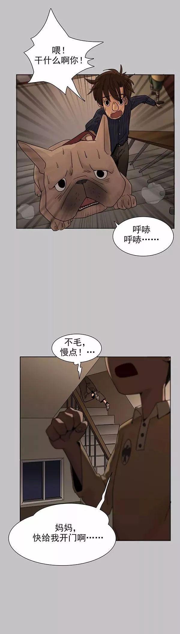 巴哥犬铲屎官漫画,铲屎官的搞笑漫画