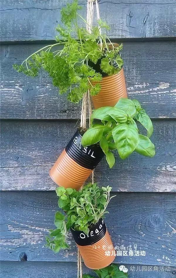 幼儿园春天植物角摆台,幼儿园植物角创意布置图片大全集