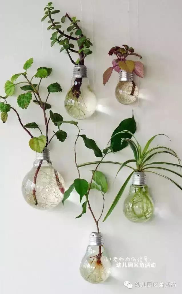 幼儿园春天植物角摆台,幼儿园植物角创意布置图片大全集