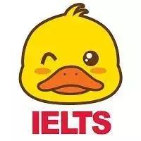 雅思口语程度副词,雅思口语可以说中文名词吗