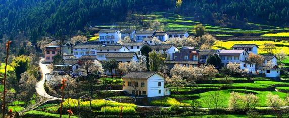 农村农房要统一规划吗,农房建设政策