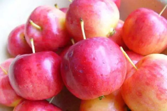 排解深夜的寂寞，只需一点海棠果就能做到