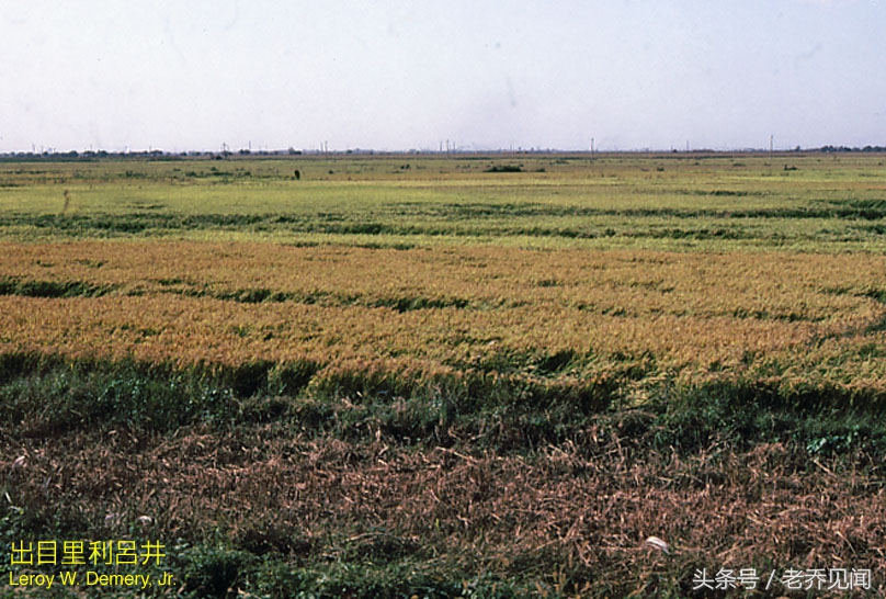 百年矿山抚顺西露天矿图片,90年代的露天矿