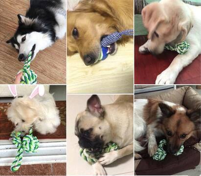 狗狗玩具推荐怎么选择,狗狗的玩具最适合哪一种