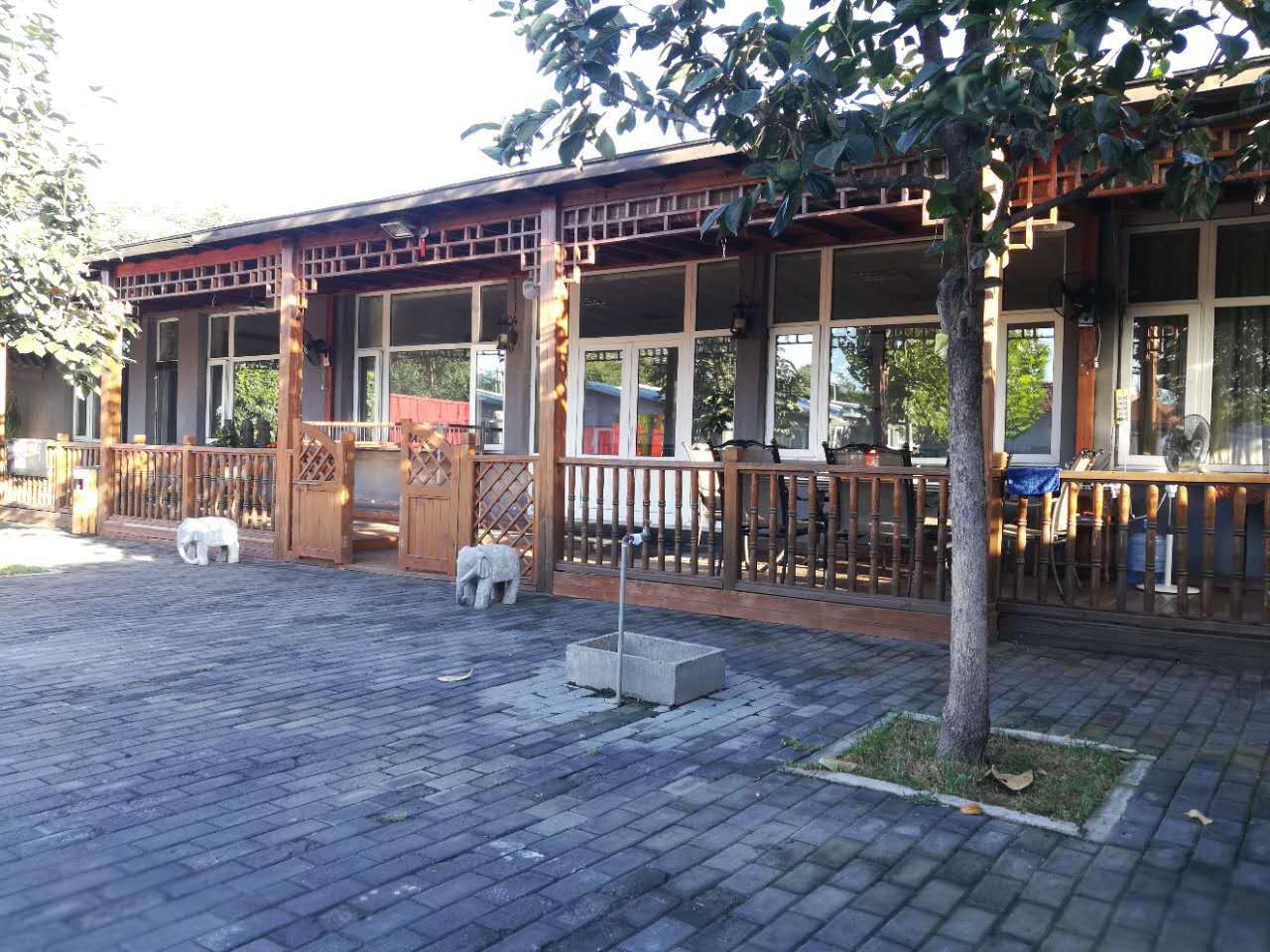 狗狗玩具推荐怎么选择,狗狗的玩具最适合哪一种