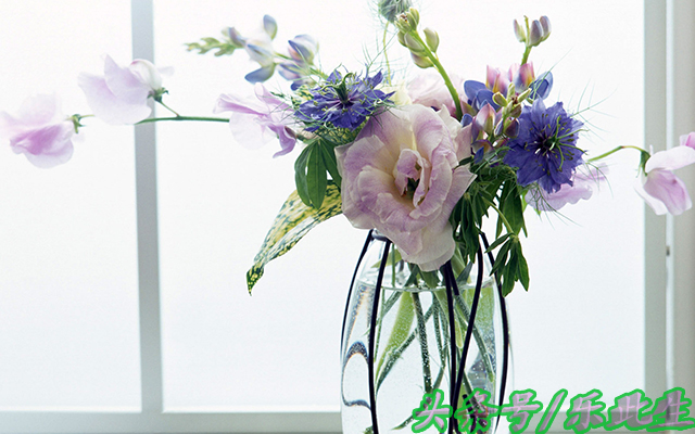 100个智慧生活小知识,100个实用生活小技巧拿走不谢