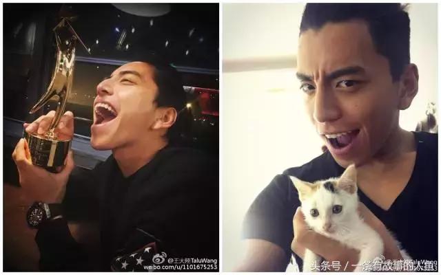 明星们都有哪些小怪癖,各大明星自曝怪癖