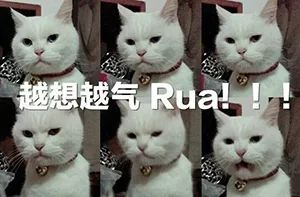 李昇基为《花游记》烂尾背锅，编剧洪氏姐妹坑惨一票好演员