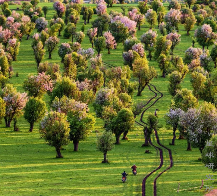 伊犁这个偏远的西部城市,新疆伊犁市靠近哪个位置