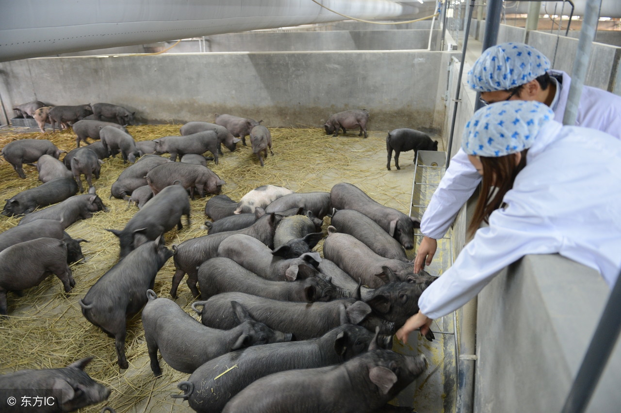 盘点｜中国业内大佬那些“不务正业”的爱好，第一个就诧异了！