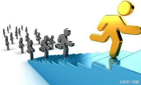 农村适合发展什么创业项目大全,2020年农村创业好项目投资小的