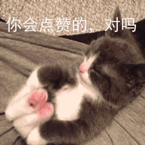 甜文宠文校园,校园甜宠文校霸电竞