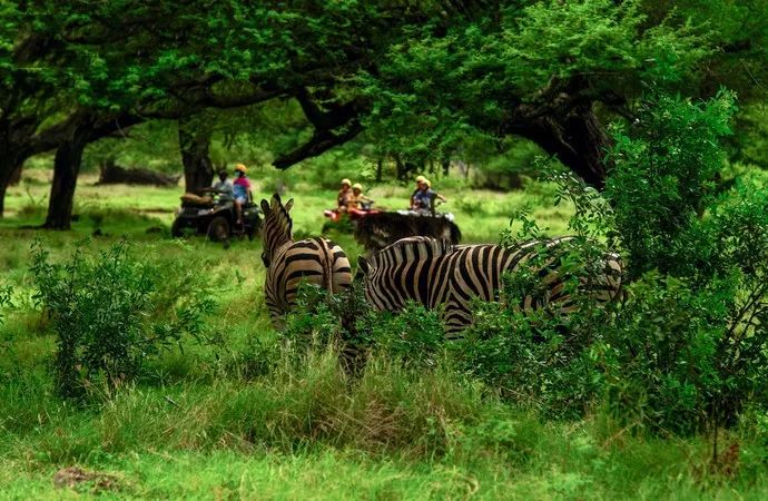 伊甸园免签景点在哪个城市,伊甸园免签的景点在哪里