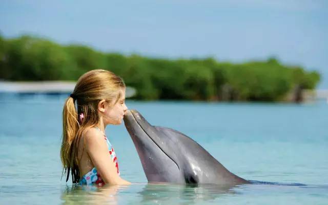 伊甸园免签景点在哪个城市,伊甸园免签的景点在哪里