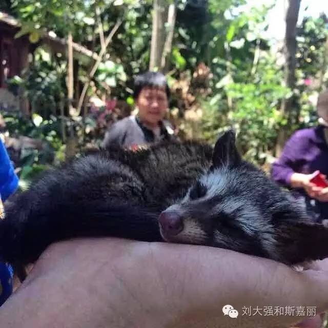 巴厘岛正确的打开方式,这才是打开巴厘岛的正确方式