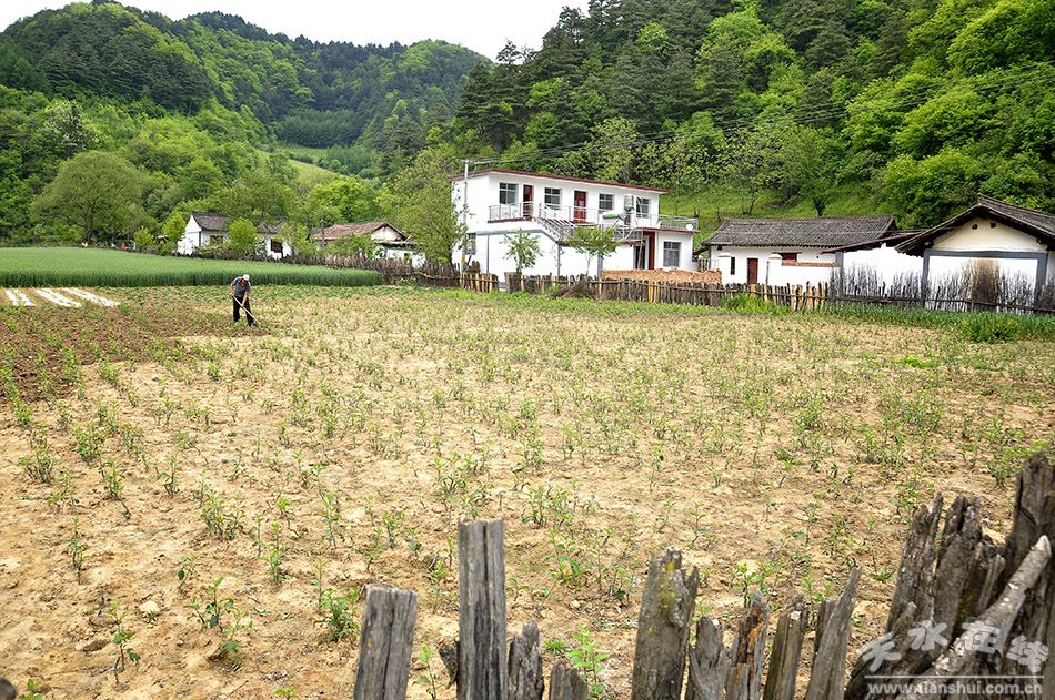 天水市国家级美丽乡村建设,天水市最美乡村名录图片