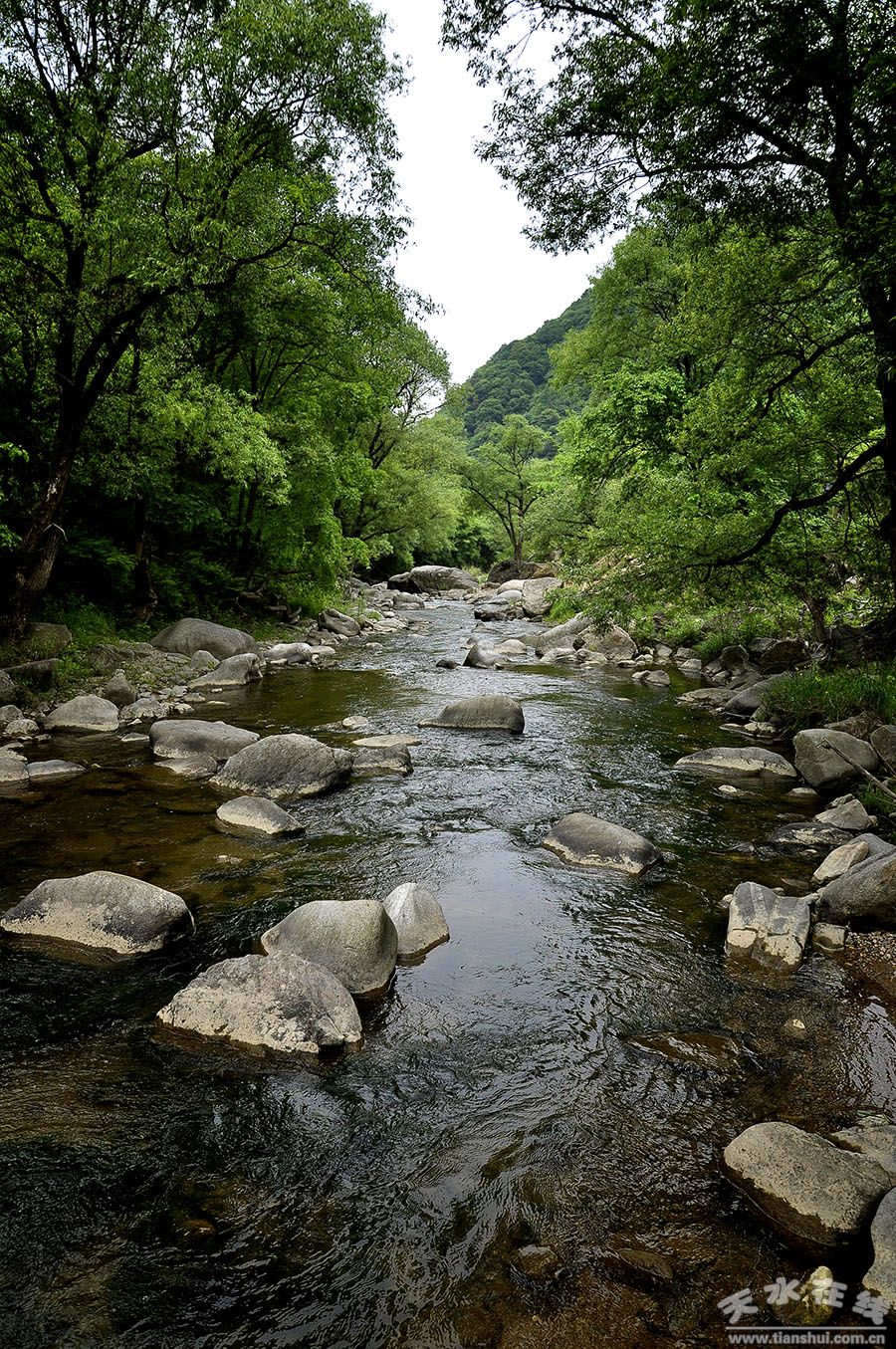 天水市国家级美丽乡村建设,天水市最美乡村名录图片