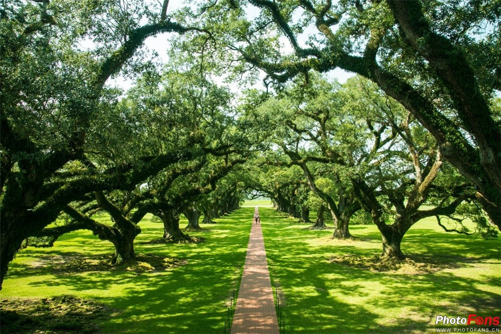 浣宠兘鐩告満dc,杩戞湡浣宠兘鐩告満鎺ㄨ崘