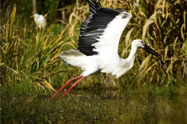 云南纳木错国家公园,云南昆明发现一个超大好玩的公园