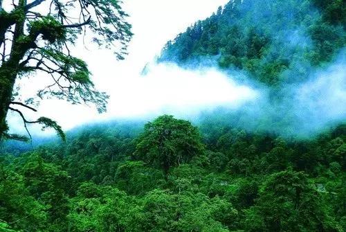 云南纳木错国家公园,云南昆明发现一个超大好玩的公园