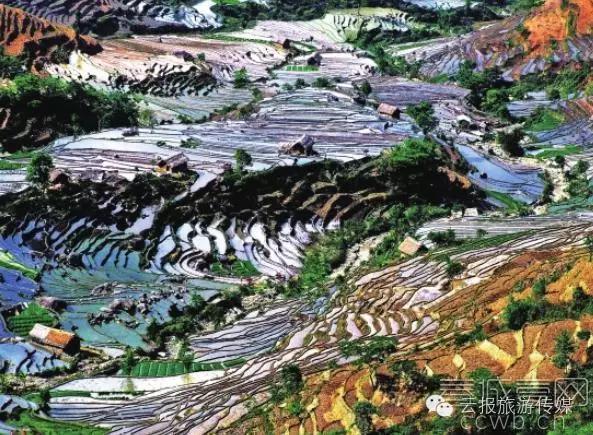 云南纳木错国家公园,云南昆明发现一个超大好玩的公园