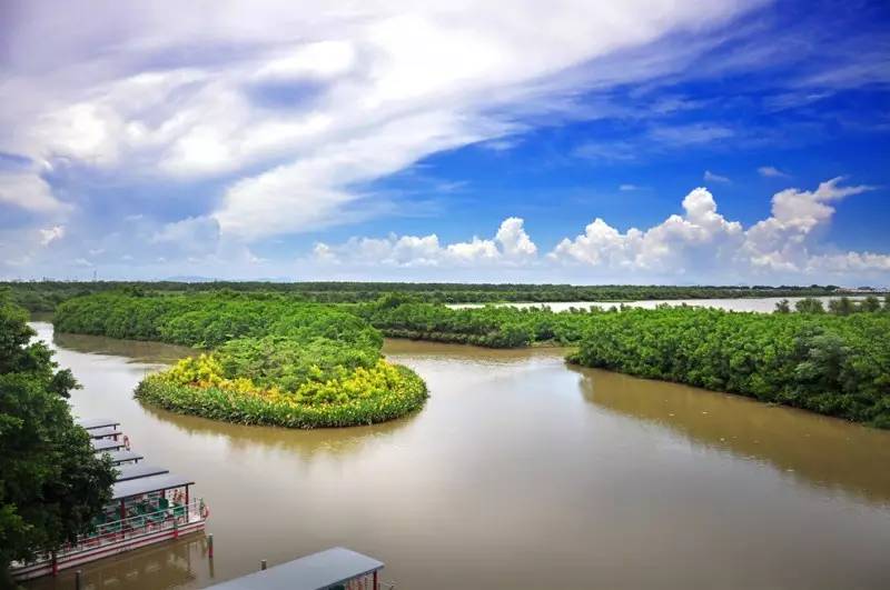 广州超5000亿元项目动工,广州各区重大投资项目2023年