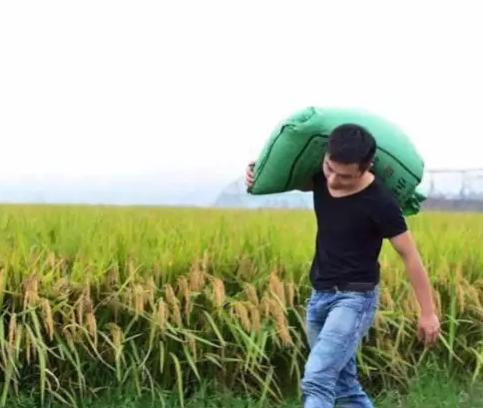 90后新农民种田,90后农场主创业成功