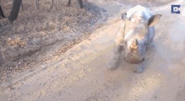 进来用手机截图，截到哪个明星，未来你的老婆就长那样