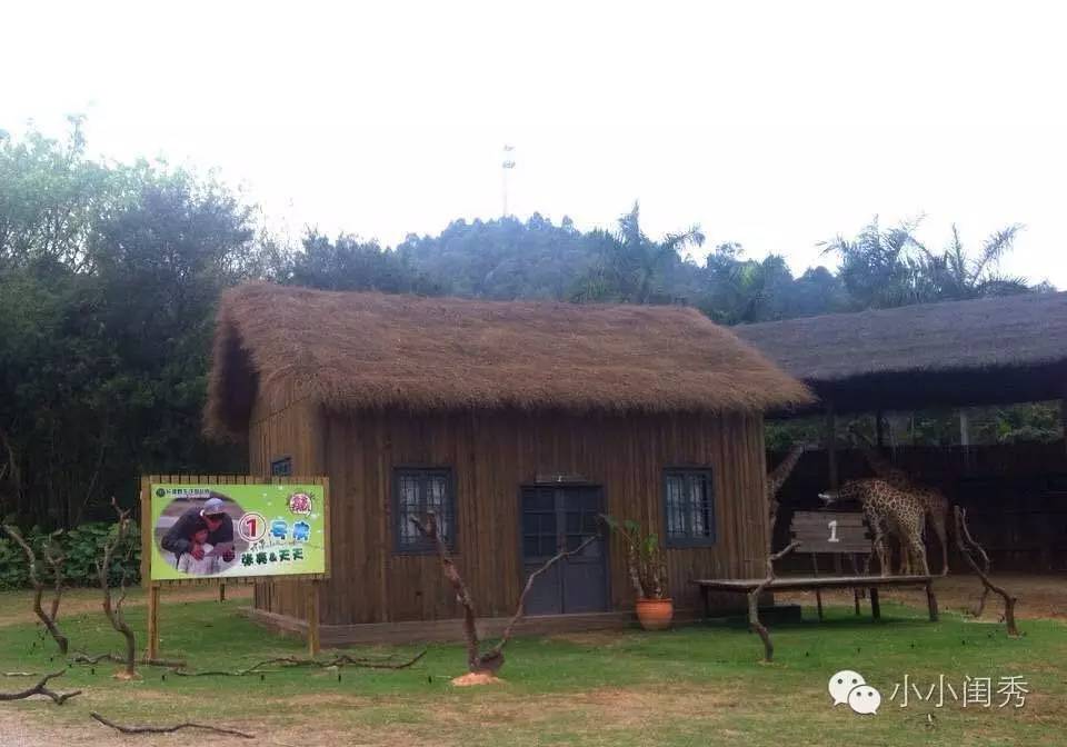 带孩子广州长隆旅游攻略,长隆动物乐园多长时间可以逛完