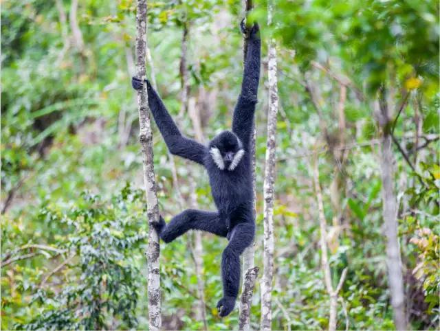 云南纳木错国家公园,云南昆明发现一个超大好玩的公园