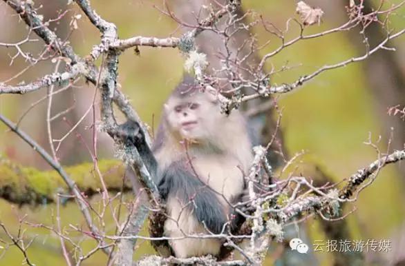 云南纳木错国家公园,云南昆明发现一个超大好玩的公园