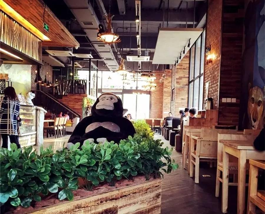 合肥适合下雨天去游玩的地方,合肥下雨去哪旅游最合适