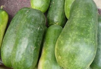 冬瓜皮对心脏病浮肿有作用吗,冬瓜皮糖尿病肾病人怎样吃