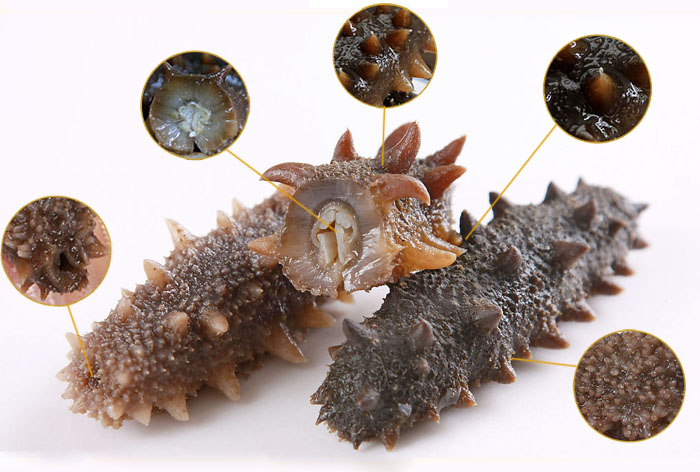 孕前男性吃什么营养药,孕前男性应补哪种维生素