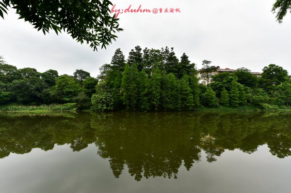 去广东增城玩有哪些攻略,广州周末好去处增城