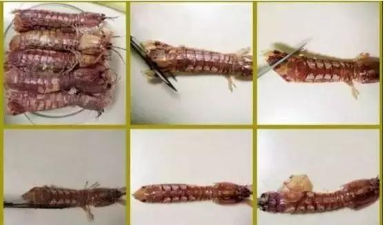 皮皮虾颜色变异,活皮皮虾蒸完以后变绿了怎么回事