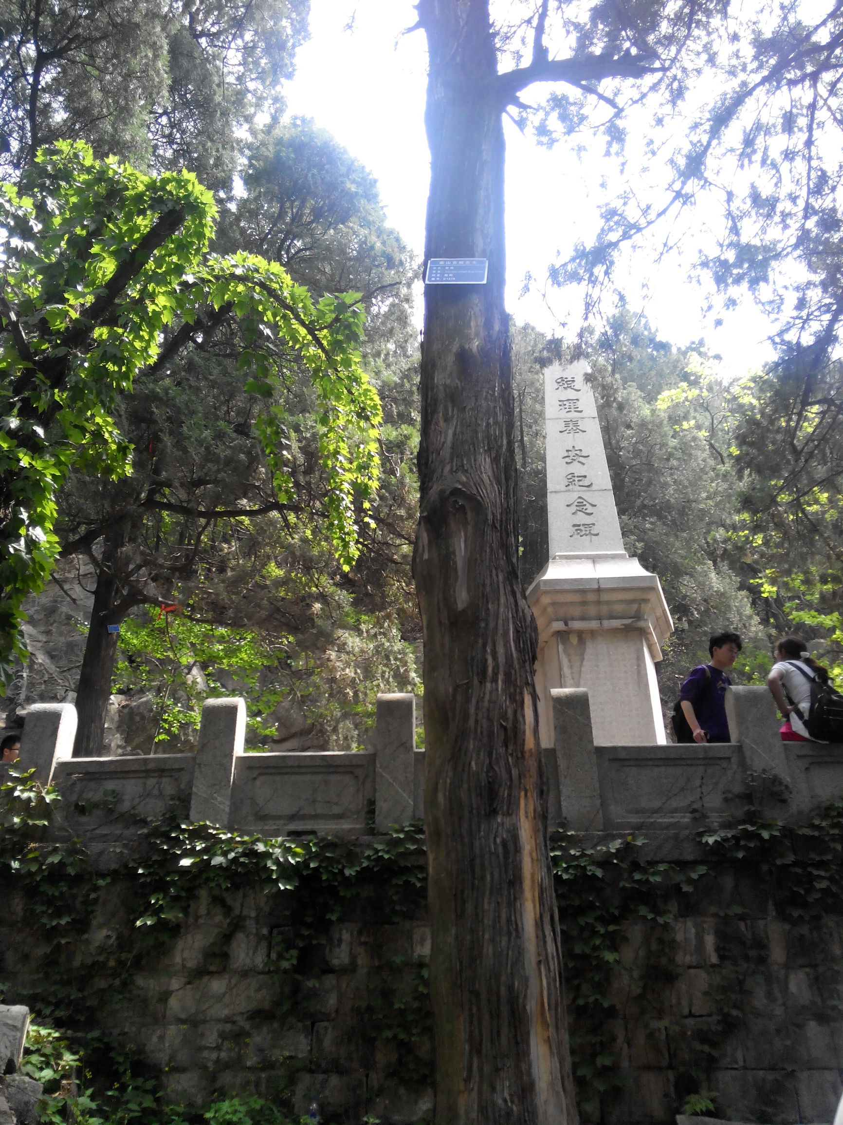 天津去泰山自由行攻略,天津泰山旅游攻略自助游