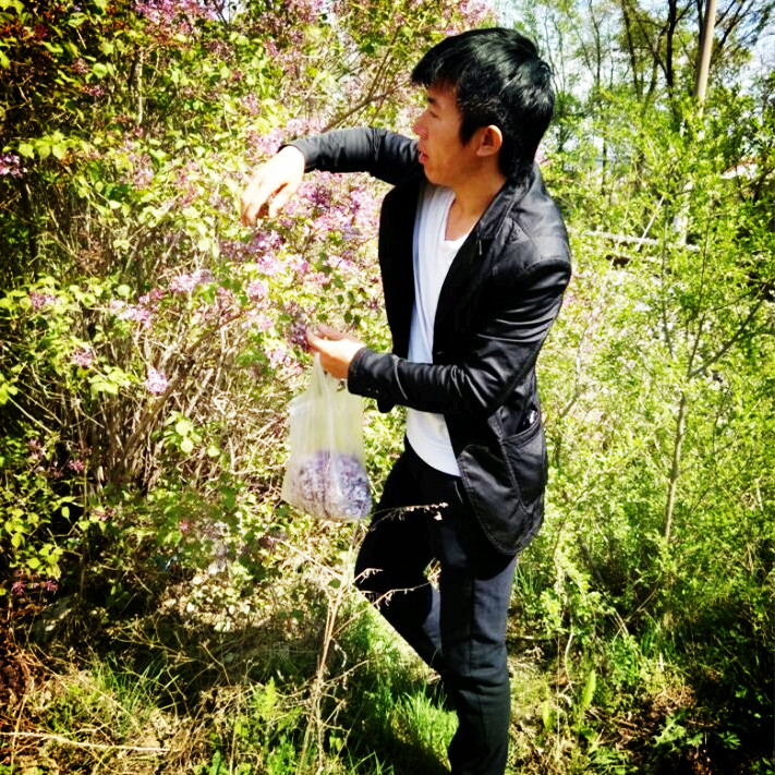 丁香花纯露作用与功效,丁香花纯露怎么做