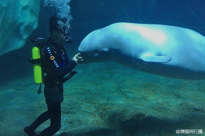 珠海长隆旅游攻略和住宿,珠海长隆周末有什么活动
