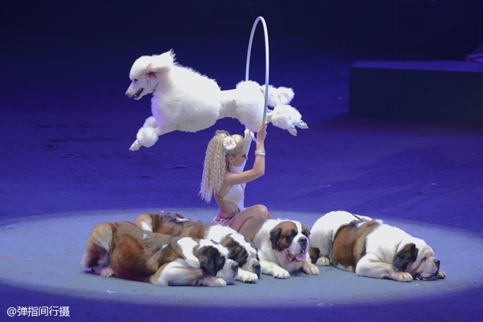 珠海长隆旅游攻略和住宿,珠海长隆周末有什么活动